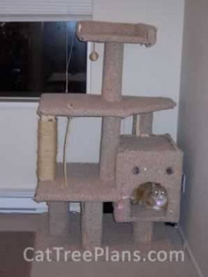 how to make a cat tree Cat Tree Plans Customer 067