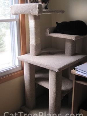 how to make a cat tree Cat Tree Plans Customer 124