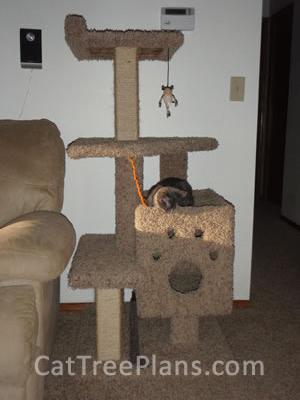 how to make a cat tree Cat Tree Plans Customer 138