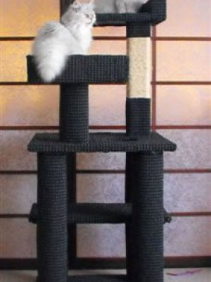 how to make a cat tree Cat Tree Plans Customer 146